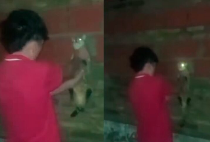 Charata: investigan un presunto caso de maltrato animal tras la difusión de un video en redes sociales