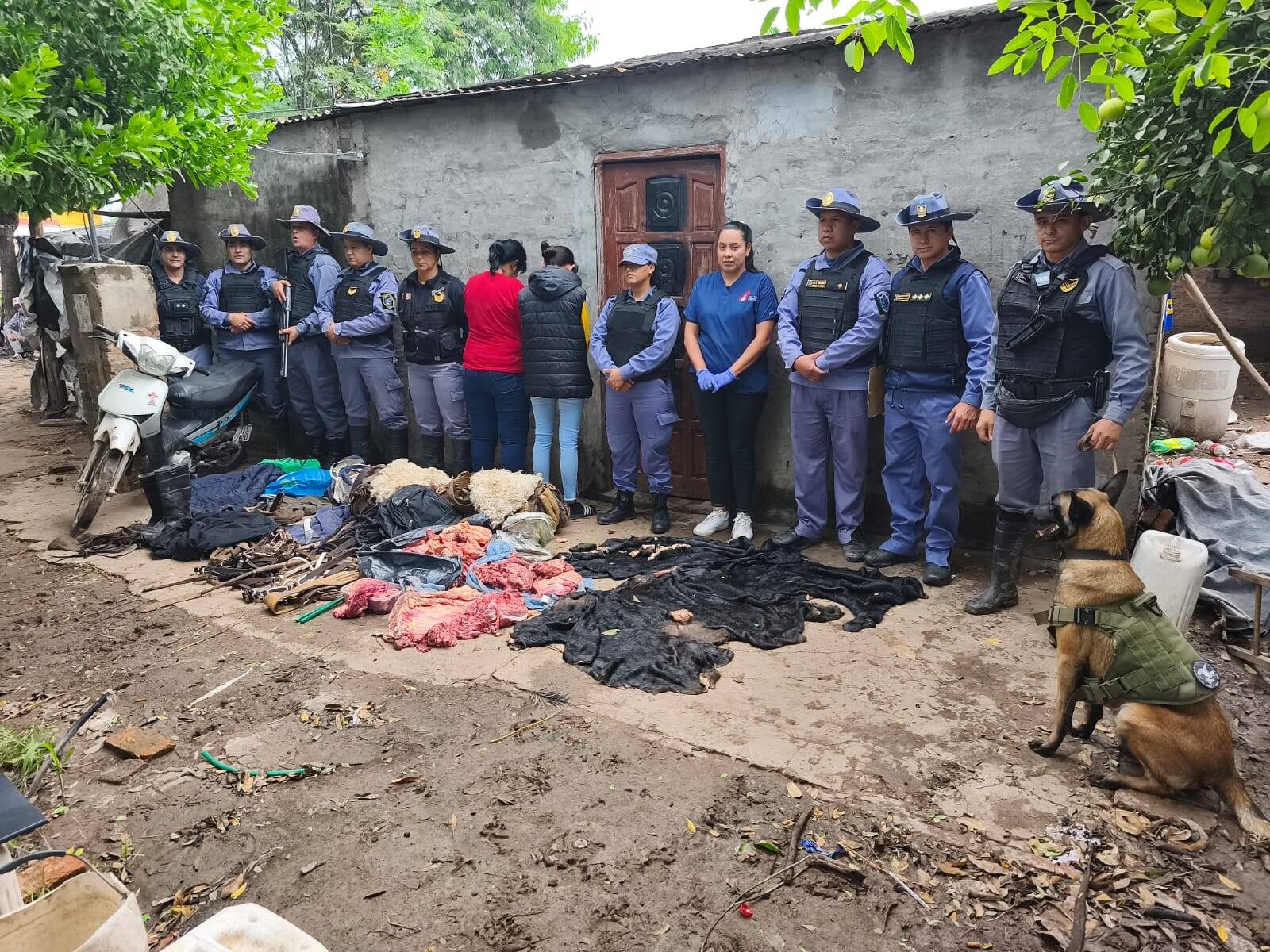 QUITILIPI: DETIENEN A DOS MUJERES POR SUPUESTO ABIGEATO TRAS ALLANAMIENTO