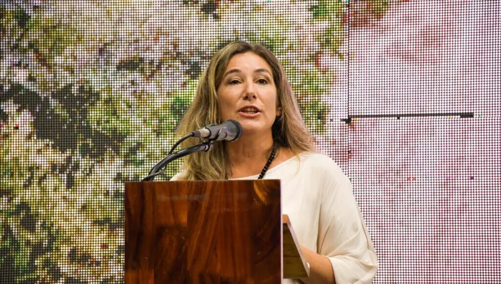 Soneira apuntó contra la gestión de Zdero: “Es un esquema mediático y político montado para instalar una mega causa”