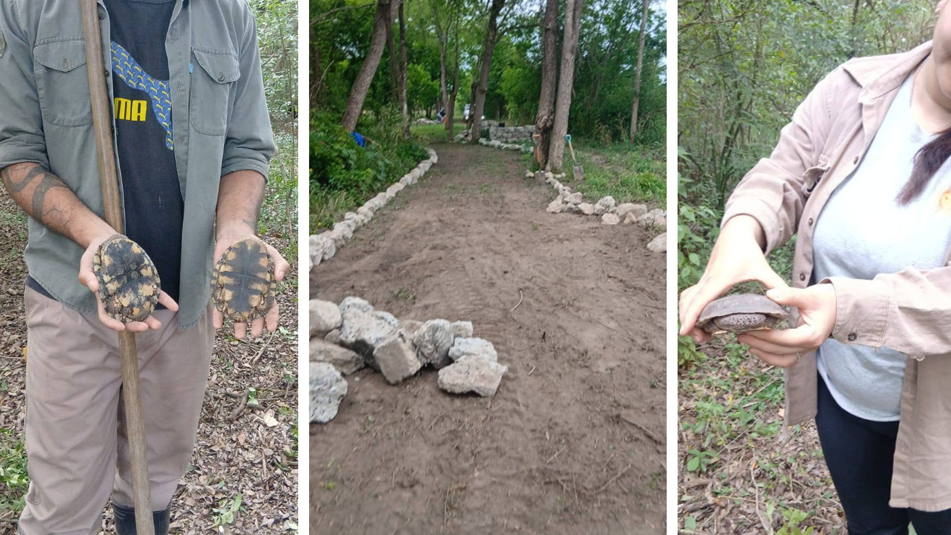 Capitán Solari: impulsan el desarrollo de “La Selvita” con un proyecto de conservación y puesta en valor